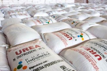 Pemkab Aceh Barat Bagi Pupuk Gratis Untuk Petani