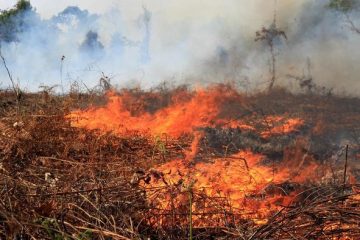 Peringatan BMKG: Aceh Berpotensi Kebakaran Hutan dan Lahan