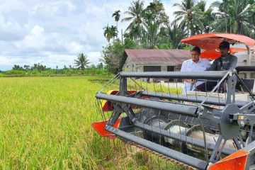 Jaga Stok, Bulog Serap Beras dari Aceh