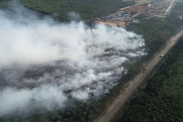 Kabut Asap Mulai Merambat Ke Pemukiman Warga di Aceh Barat