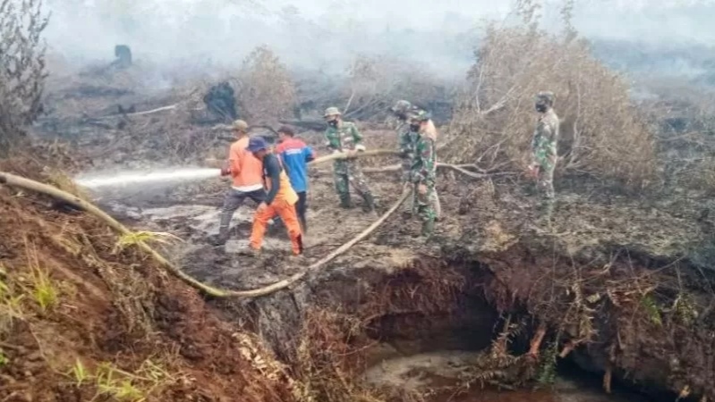 Sudah 17,5 Hektare Lahan Terbakar di Nagan Raya