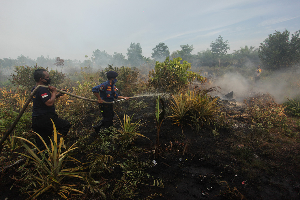 KLHK Gugat Dua Perusahaan Pembakar Hutan Dan Lahan - Nukilan