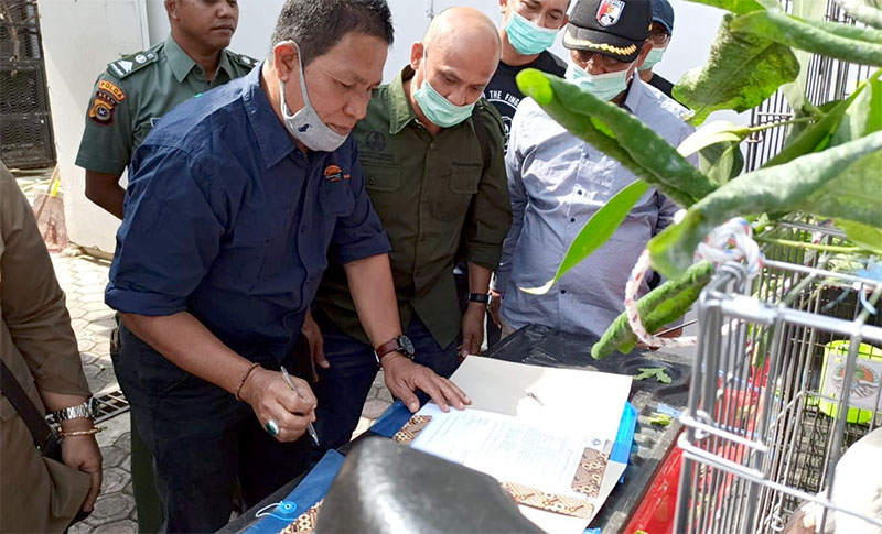 Perwakilan BKSDA Aceh (KSBTU didampingi Ka. Seksi I dan Tim Medis) menandatangani BA Serah Terima Satwa. (Foto: BKSDA)