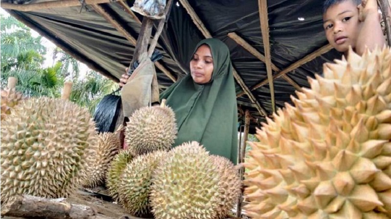 Pedagang durian di Krueng Tuan, Kecamatan Nisam, Aceh Utara(FOTO:KOMPAS.COM)