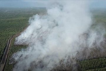 Enam Hektare Lahan Gambut Terbakar di Nagan Raya