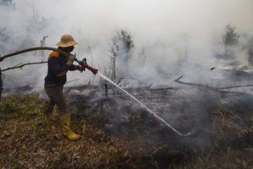 Ilustrasi Karhutla.(Foto: Merdeka)