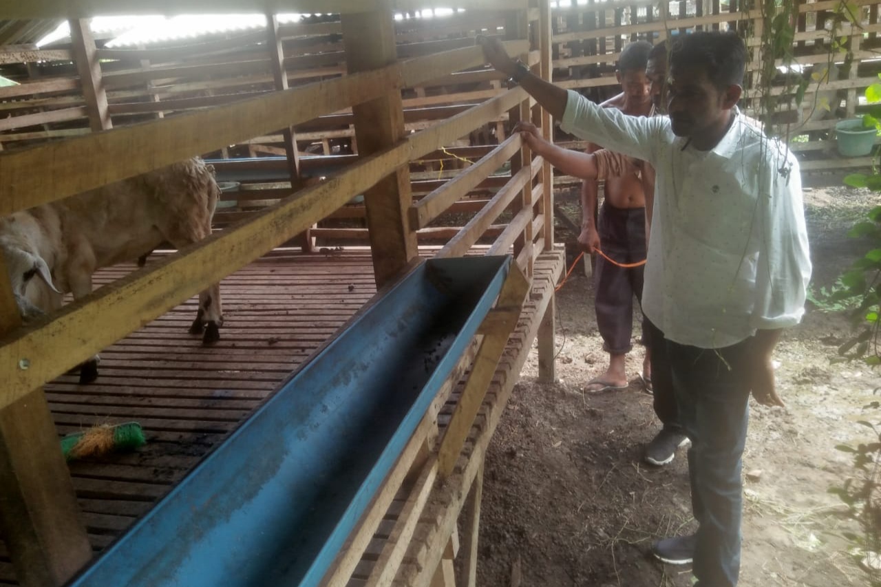 DPRA Tinjau Pusat Peternakan Kambing Aceh Utara