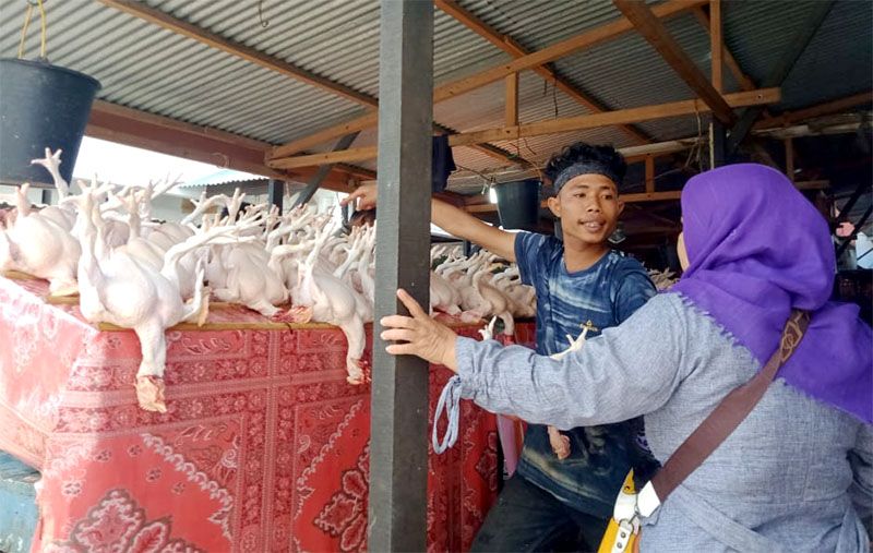 Pedagang Ayam di Pasar Rukoh, Darussalam, Kota Banda Aceh. (nukilan.id)