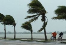 BMKG Prediksi Cuaca Aceh 12 Januari: Hujan dan Angin Kencang Mengintai Sejumlah Wilayah