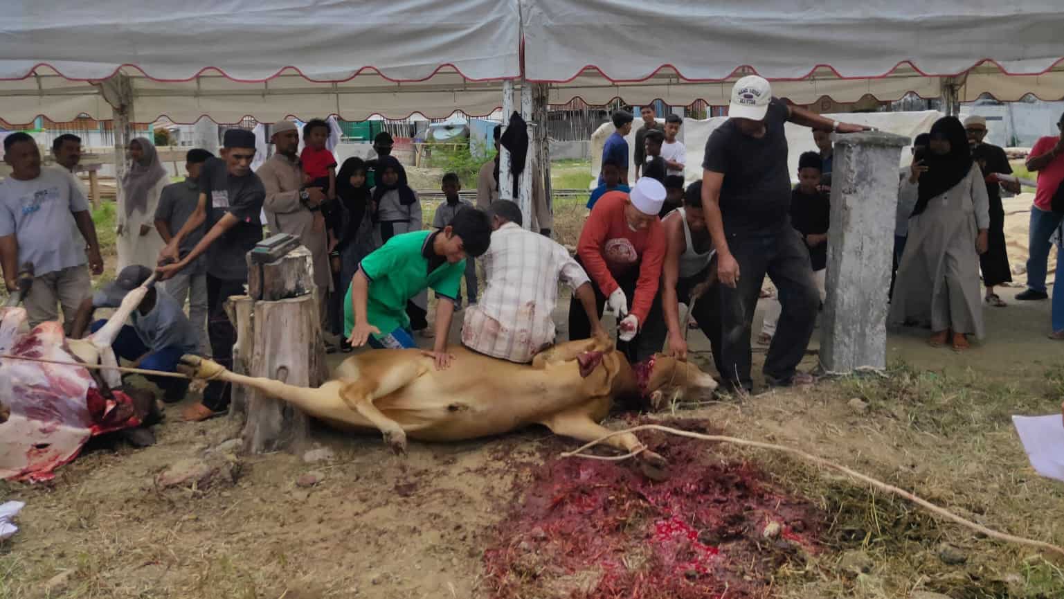 Gampong Lamdingin Banda Aceh Sembelih 27 Hewan Qurban