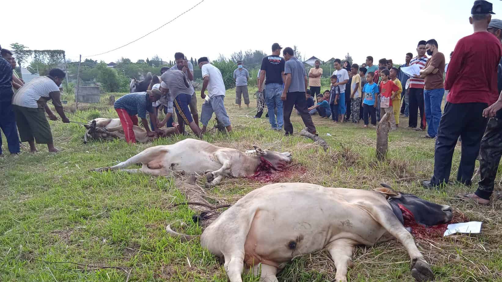 Penyembelihan hewan qurban di Gampong Meunasah Papeun, Kecamatan Krueng Barona Jaya, Aceh Besar, Rabu (21/7/2021). Foto: Nukilan/MR