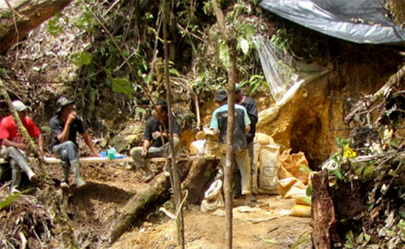 Pertambangan Emas di Pidie (Foto: Media Indonesia)