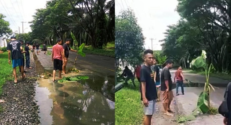 Warga saat menanam pohon di jalan rusak. (Foto: Nukilan)