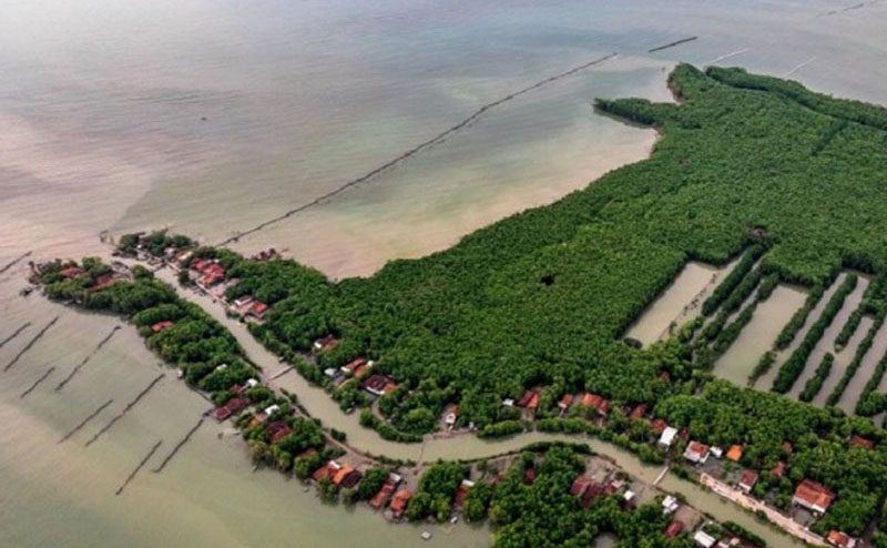 Ilustrasi - Foto udara permukiman warga yang dikelilingi hutan mangrove(bakau) di Desa Bedono, Sayung, Demak, Jawa Tengah, Rabu (24/4/2019)./Antara - Aji Styawan