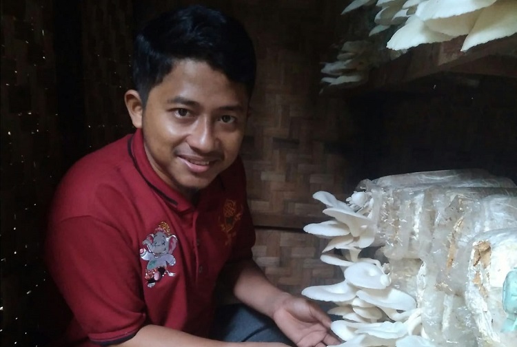 Pengusaha Jamur Tiram di Aceh Selatan, Wanhar El-Salatany. (Foto: Ist)