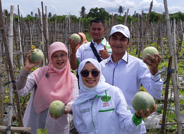 Kadistanbun Aceh bersama Pemuda Tani HKTI Panen Buah Melon di Aceh Besar (Foto: Dok.Ist)