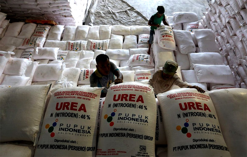 Foto: Agroindonesia