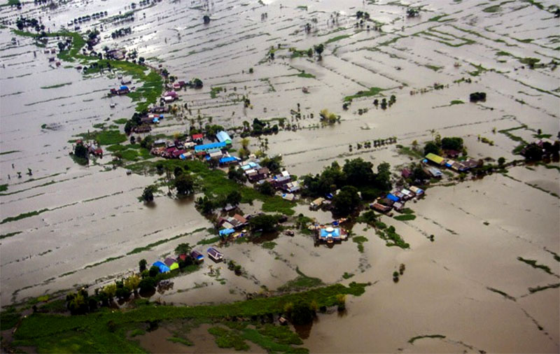 Lahan padi seluas 6.265 hektare di Provinsi Aceh terendam air akibat banjir (Foto: Antara)