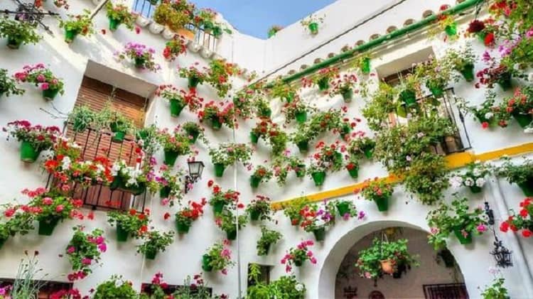 Warna warni bunga cantik hadir di Cordoba, Spanyol saat Festival Perang Bunga. (Foto: Liputan6)
