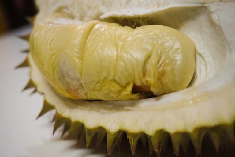 Buah durian yang selalu menggoda untuk dicoba. Foto: Pixabay/Public Domain/najibzamri