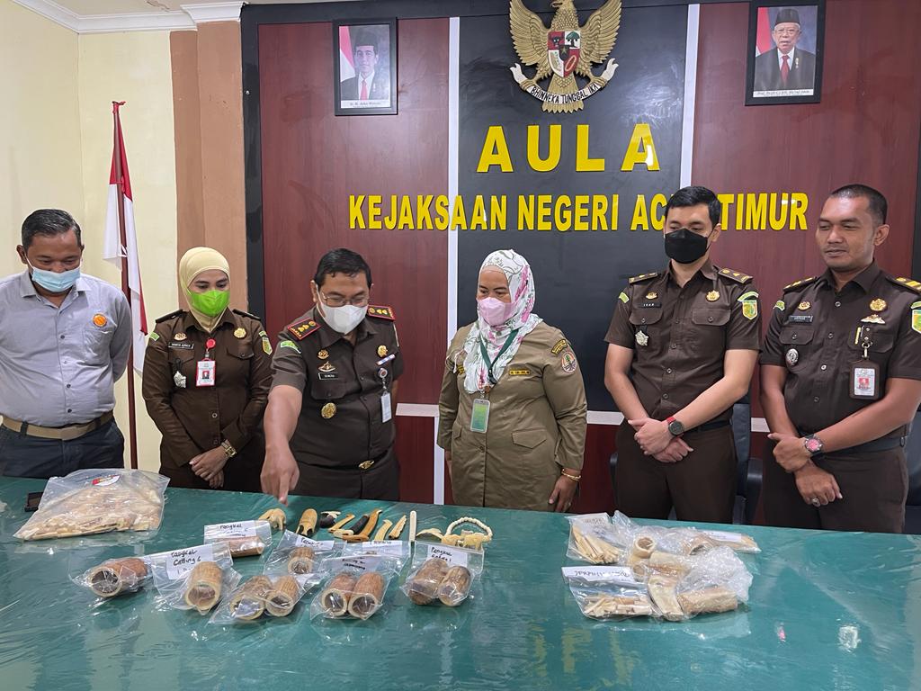 Kejari Aceh Timur saat menyerahkan barang bukti berupa gading gajah kepada BKSDA Aceh, Selasa (8/2/2022). Foto: Ist.