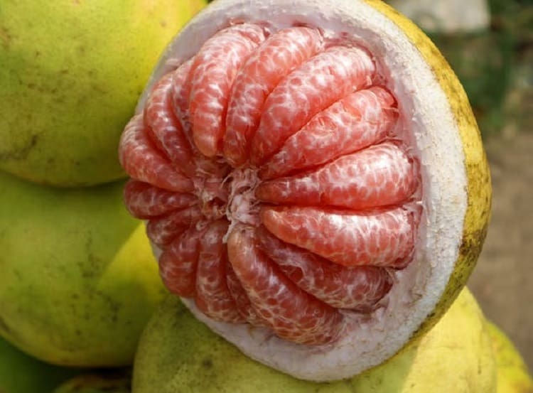Pomelo/Jeruk Bali © Yellyana_H/Shutterstock
