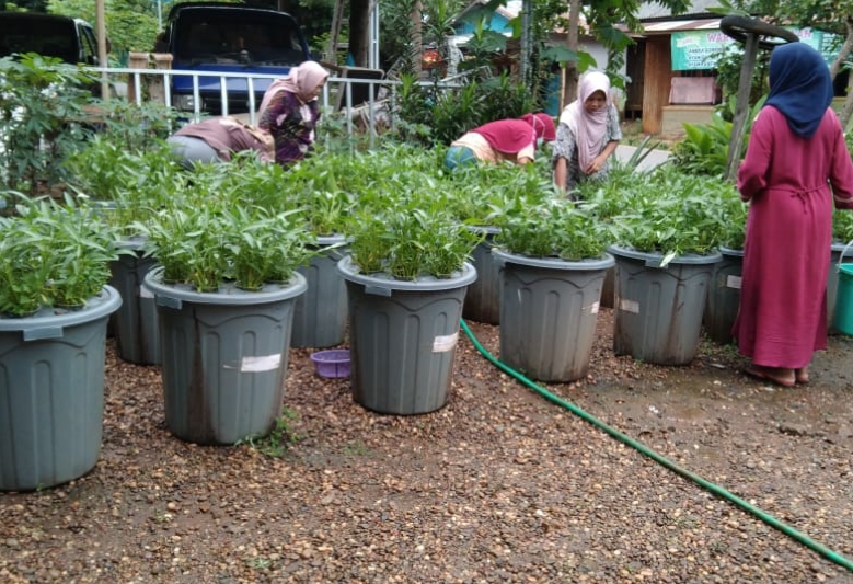 Praktik budikdamber | Dok. KKP