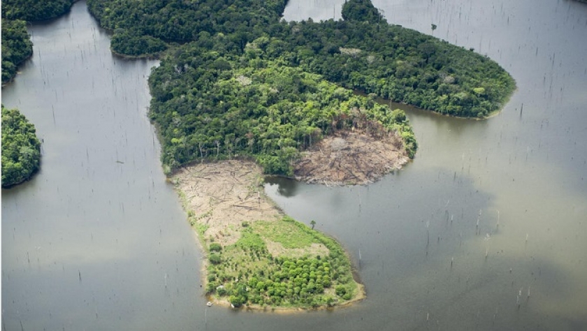 Hutan Amazon di Brasil (WWF)