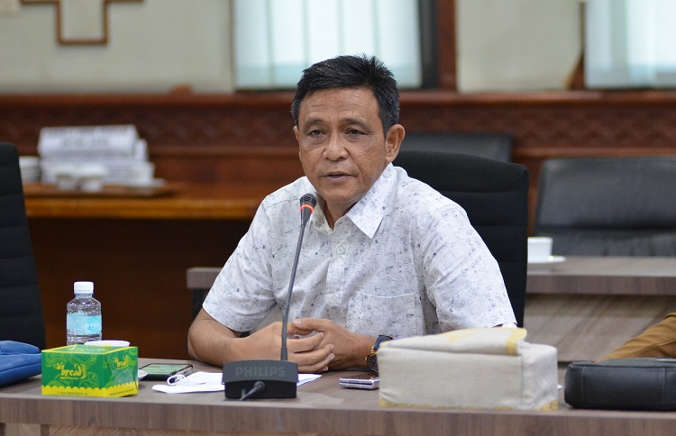 Wakil Ketua Umum KADIN Aceh, H Ramli, (Foto: Dok.Ist)