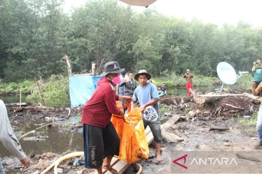 Korban pekerja di dalam hutan Kumpeh Ilir, Kabupaten Muaro Jambi yang diterkam harimau sumatera (phantera trigris sumaterae) dievakuasi petugas dan warga./Foto: Antara