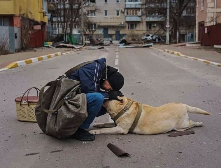 Relawan telah menyelamatkan lebih dari 200 hewan, dan 500 hewan peliharaan lainnya telah diselamatkan oleh orang-orang biasa/Foto: instagram.com/zoopatrulkyiv