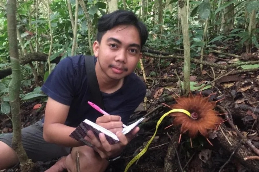 Mahasiswa UM Sumbar Rangga Agus sedang melakukan penelitian rhizanthes lowii di kawasan Cagar Alam Batang Palupuh, Kabupaten Agam, Sumatera Barat./Foto: Antara/Resor KSDA Maninjau