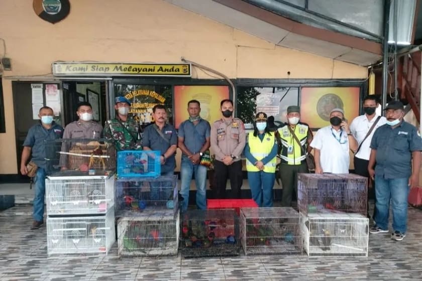 Petugas gabungan Polsek Pelabuhan Sorong dan Satgas Gakkum Balai Besar Konservasi Sumber Daya Alam (BBKSDA) Papua Barat saat menggagalkan upaya penyelundupan satwa liar dilindungi ke luar Papua di pelabuhan Sorong Rabu (20/4/2022)./Foto: Antara/HO Humas Polres Sorong Kota.