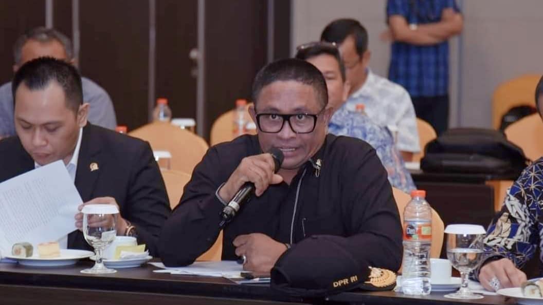 Anggota DPR RI, Rafli