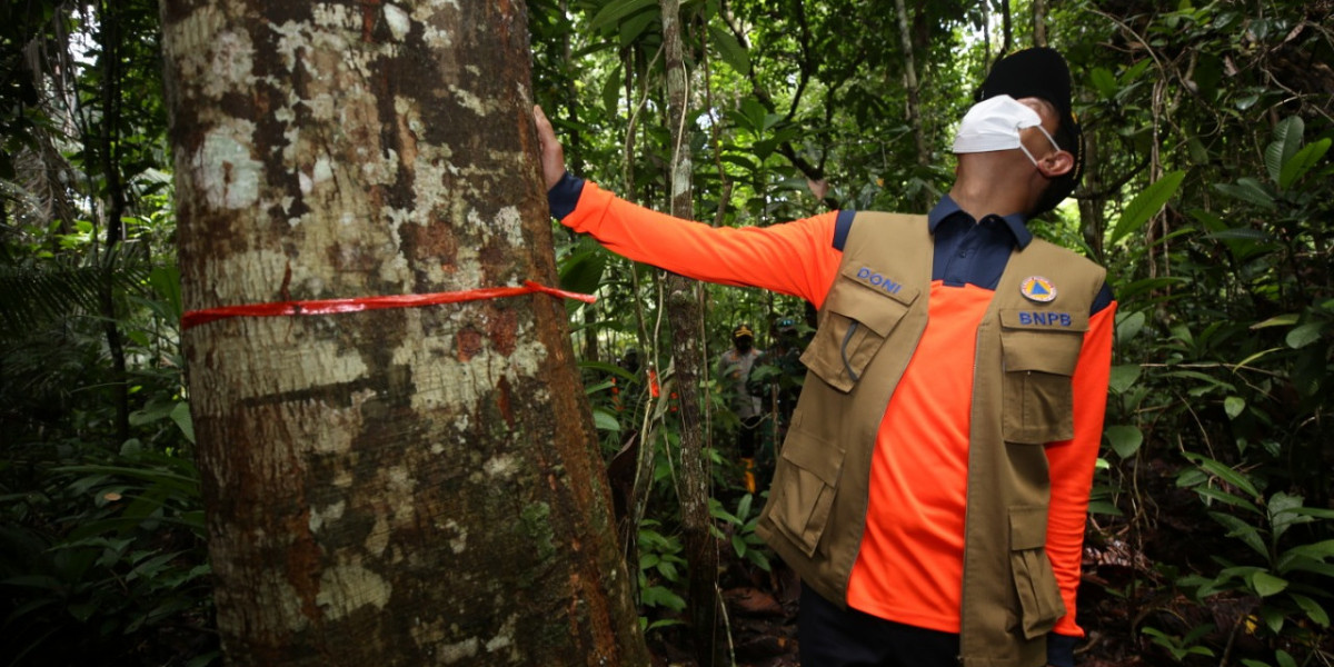 Pohon Plahlar di Kawasan Konservasi Nusakambangan © Dok. BNPB