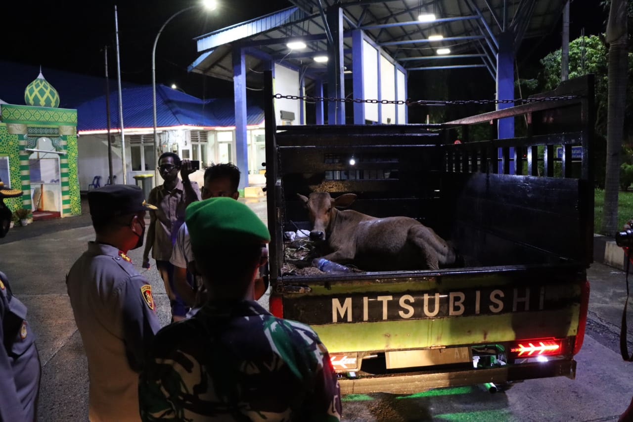 Polisi Periksa Angkutan Hewan di Perbatasan. (Foto: Dok.Ist)