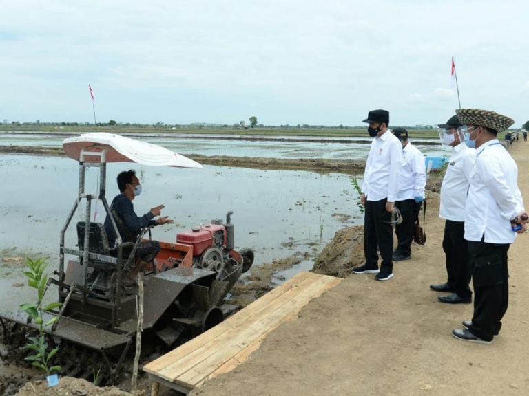 Presiden Joko Widodo meninjau lahan food estate di Pulang Pisau, Kamis (8/10/2020)./Foto: Biro Pers – Setpres