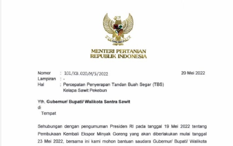 Menteri Pertanian Surati Kepala Daerah Percepat Serapan TBS Kelapa Sawit Pekebun