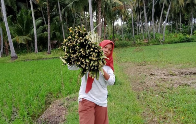 Sadaria, mahasiswi pengeskpor sapu lidi © instagram @sadariasadar