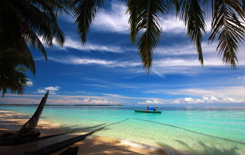 Gawat, Kepmendagri Masukan 4 Pulau di Aceh Singkil Menjadi Wilayah Sumatera Utara