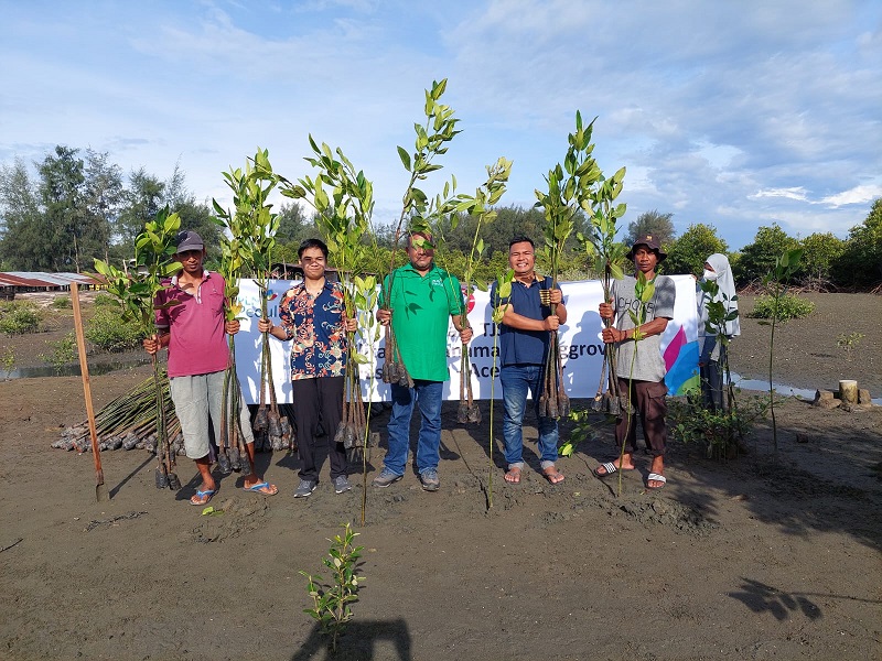 PLN UIW Aceh Bersama LSM Radar Tanam Pohon Mangrove di Pantai Kajhu Aceh Besar