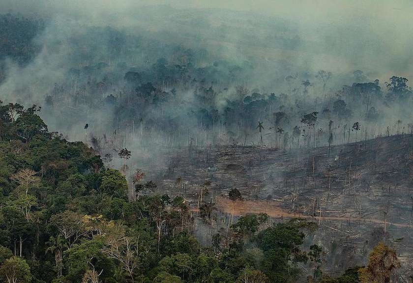 Hutan Amazon yang hancur usai kebakaran hutan pada 2019. Foto: Victor Moriyama/Greenpeace International