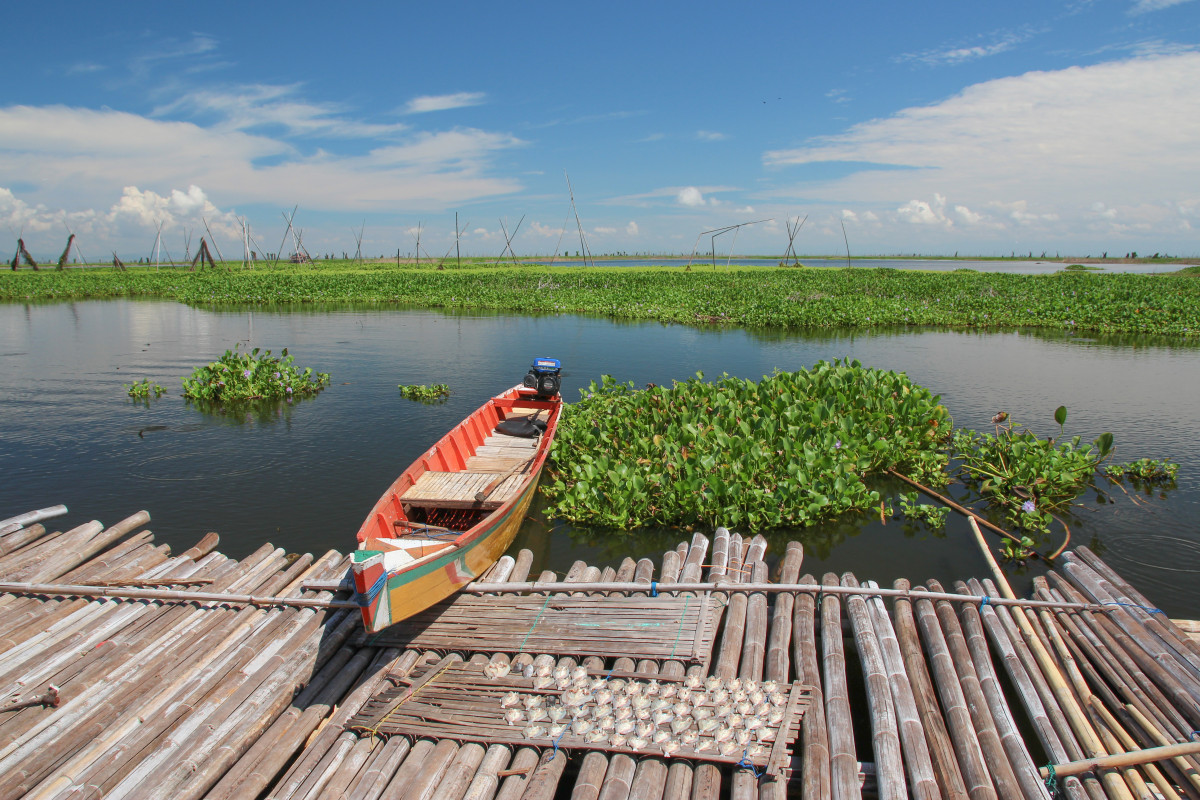 Danau Tempe © Shutterstock/Daniel Karfik