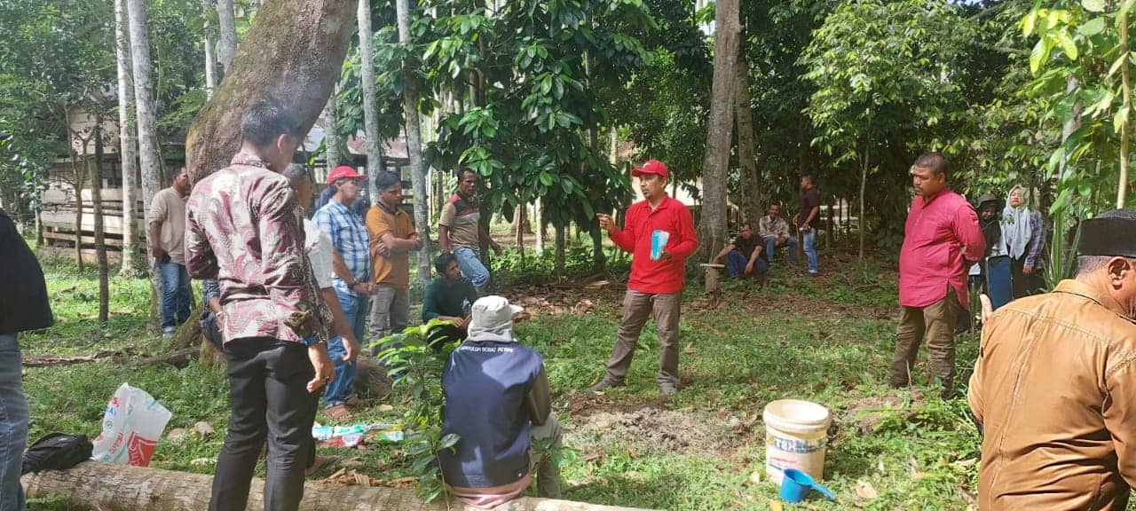 Ketua DPD PDIP Aceh, Muslahuddin Daud saat melatih puluhan petani durian di Gampong Gunong Buloh, Panga Pucok, Aceh Jaya, Jum'at (5/8/2022). Foto: Ist.