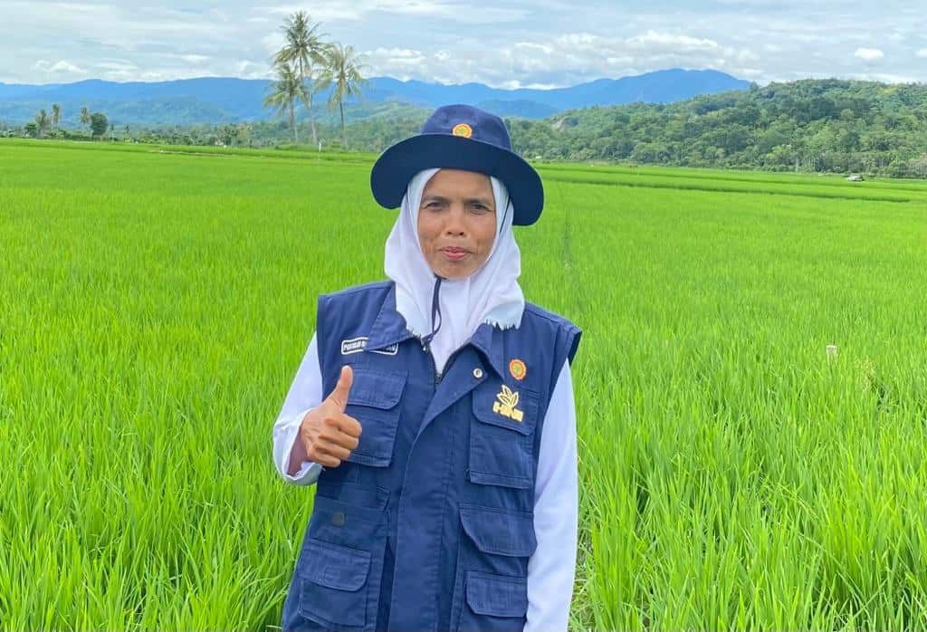 Koordinator Balai Penyuluhan Pertanian (BPP) Kecamatan Keumala, Nazariah.