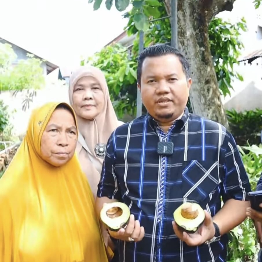 Kepala UPTD BPSBTPHP Distanbun Aceh, Habiburrahman, S.TP, M.Sc saat melakukan identifikasi potensi Alpokat lokal Sabang. (Foto: Ist)
