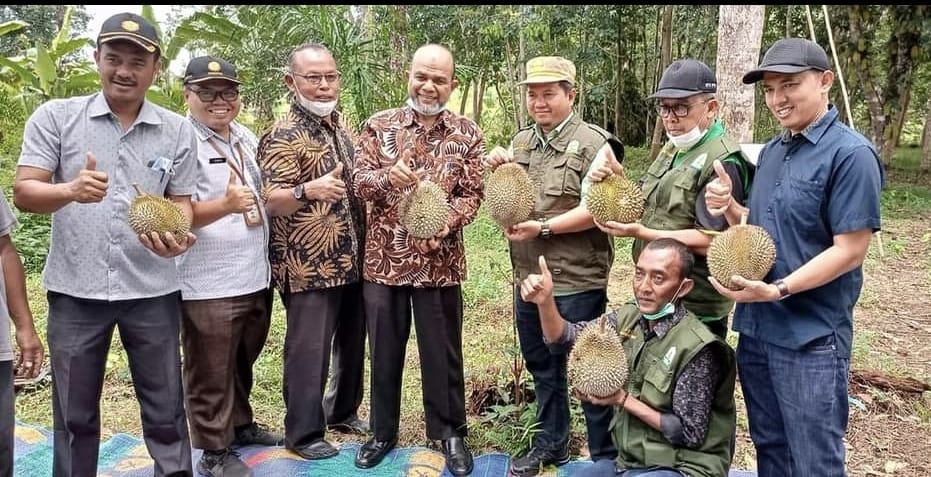 Kepala UPTD BPSBTPHP Distanbun Aceh bersama Wakil Bupati Aceh Tamiang beserta PBT Aceh Tamiang saat meninjau durian kaloy tamiang. (Foto: Ist)