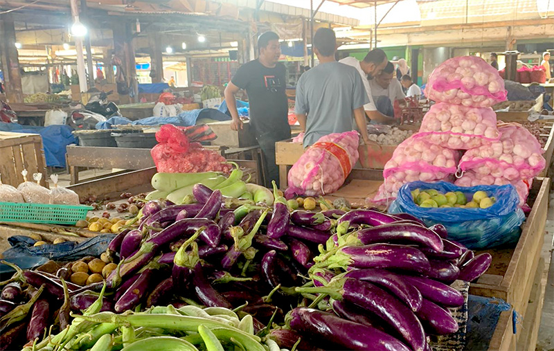 Harga Terong Ungu di Lambaro Alami Penurunan Hingga Rp5.000 Perkilogram