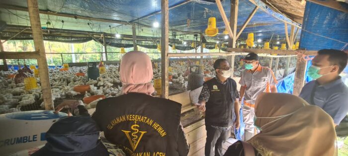 Kadisnak Aceh Lakukan Pencegahan Terhadap Penyakit Flu Burung