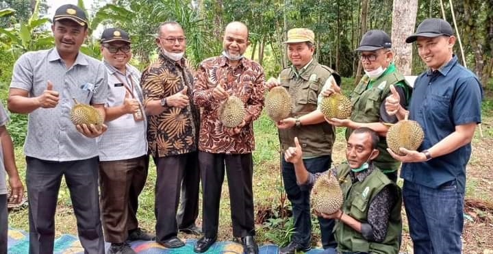 Kepala UPTD BPSBTPHP Distanbun Aceh, Habiburrahman, S.ST, M.Sc bersama Wakil Bupati Aceh dan PBT Aceh Tamiang saat meninjau durian Kaloy Tamiang. (Foto: Ist)